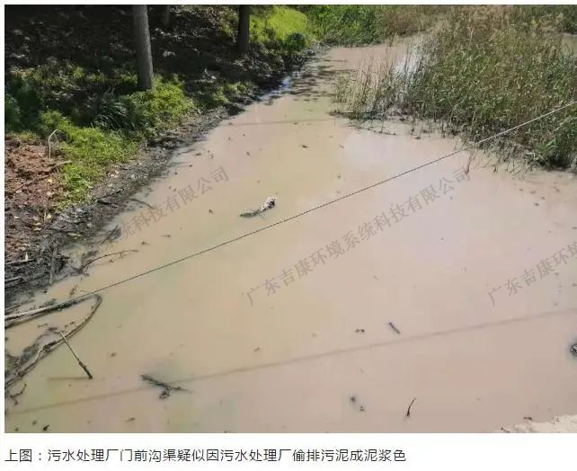 荣达吉康 | 督察进行时：污水处理厂偷排污泥染河沟